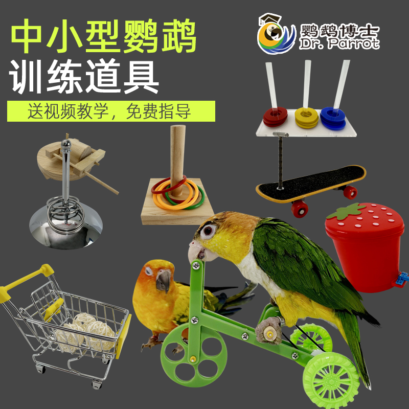 鹦鹉益智玩具训练道具训鸟用品