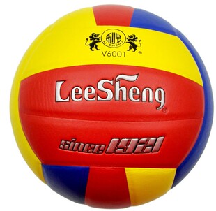 正品Leesheng利生教育部推荐训练专用5号6003排球V6001丁基胆