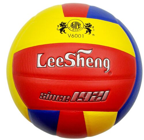 正品Leesheng利生教育部推荐训练专用5号6003排球V6001丁基胆