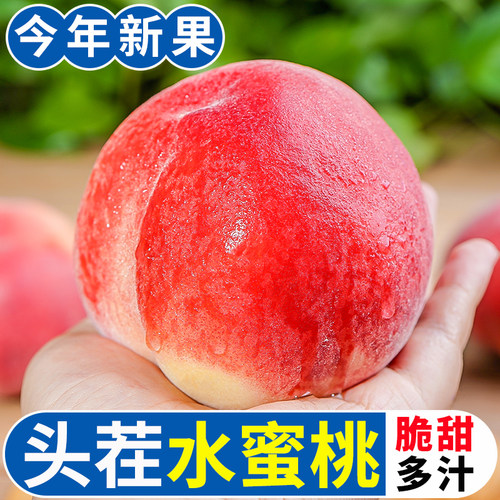 御品一园水蜜桃新鲜采摘山西运城