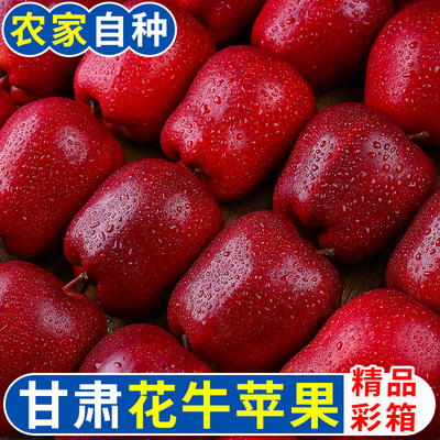 甘肃新鲜整箱刮泥天水花牛苹果