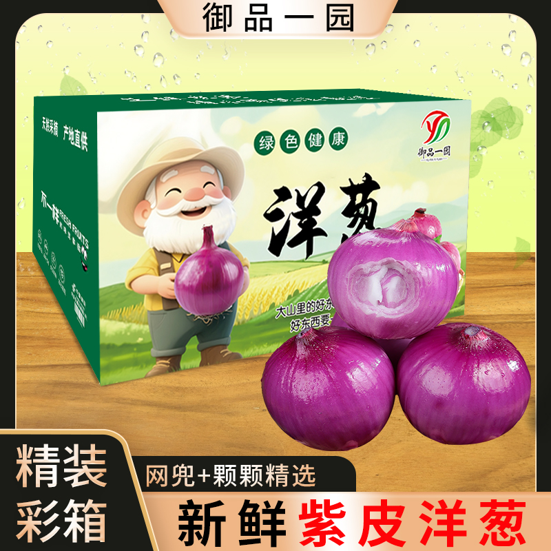 【彩箱】洋葱紫皮圆葱新鲜产地紫红红皮水果现挖葱头农家自种蔬菜