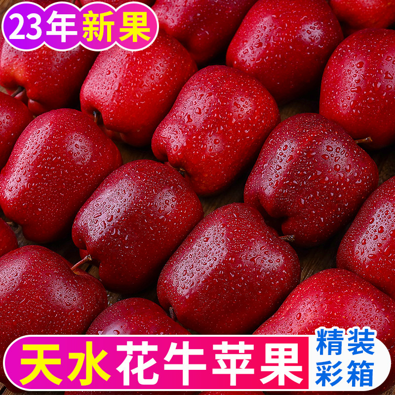 甘肃天水花牛苹果水果新鲜当季整箱包邮10红蛇大圣诞平安果粉面斤,水产肉类/新鲜蔬果/熟食,苹果,淘宝优惠券,粉丝福利购,淘宝优惠卷