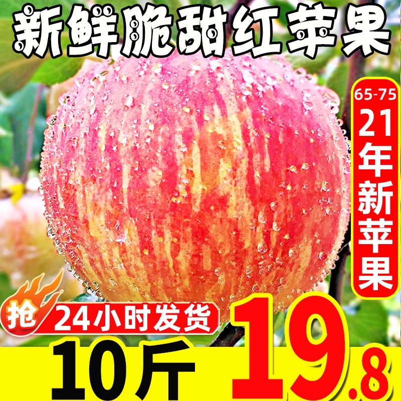 新鲜当季整箱10现季山东烟台栖霞