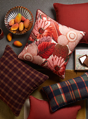 偏爱集美式抱枕轻奢高级感复古客厅沙发腰枕靠垫红色不含芯抱枕套