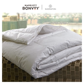 喜来登白鹅绒被五星级酒店床品春秋纯棉羽绒被芯被子