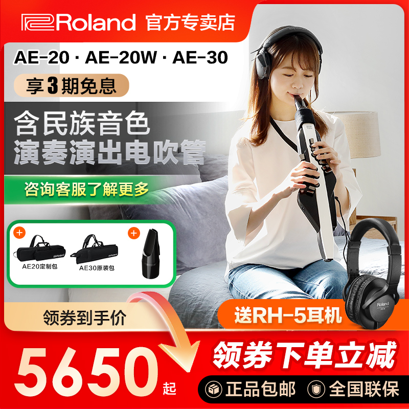 罗兰电吹管含民族音色ae20ae30