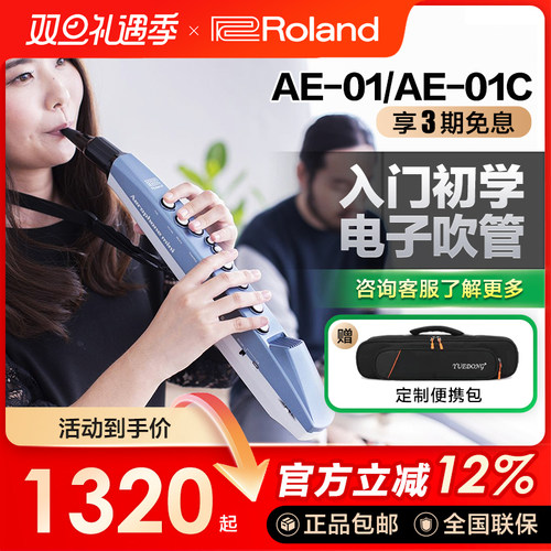 Roland/罗兰电吹管顺丰包邮初学