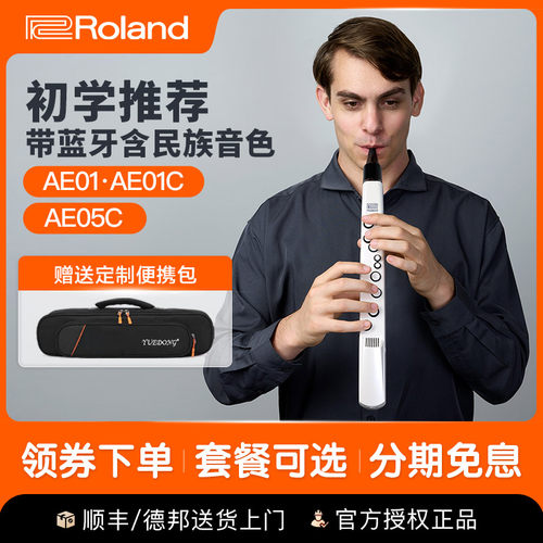Roland/罗兰电吹管顺丰包邮初学