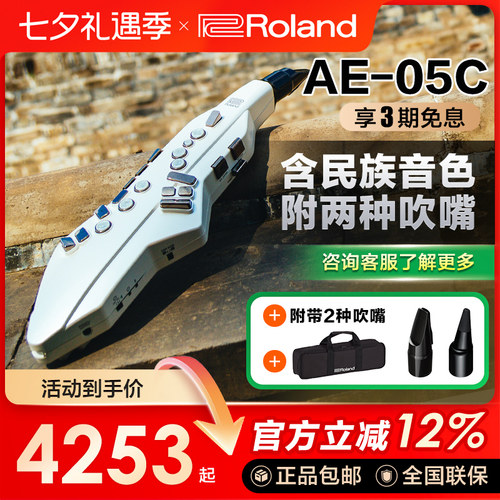 Roland/罗兰电吹管顺丰包邮初学