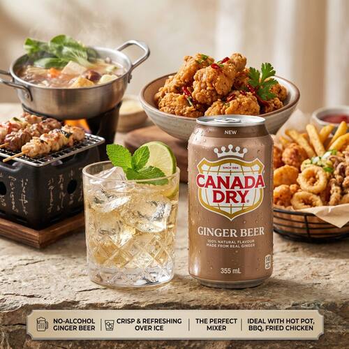 Canada Dry Ginger 姜汁汽水 0 酒精干姜味苏打水 355ml*12罐整箱