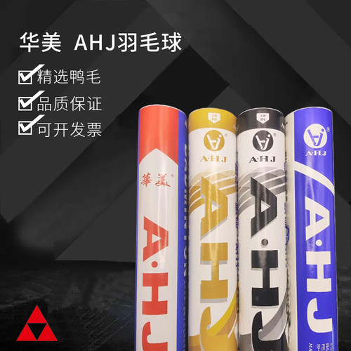 AHJ203202羽毛球耐打稳定训练