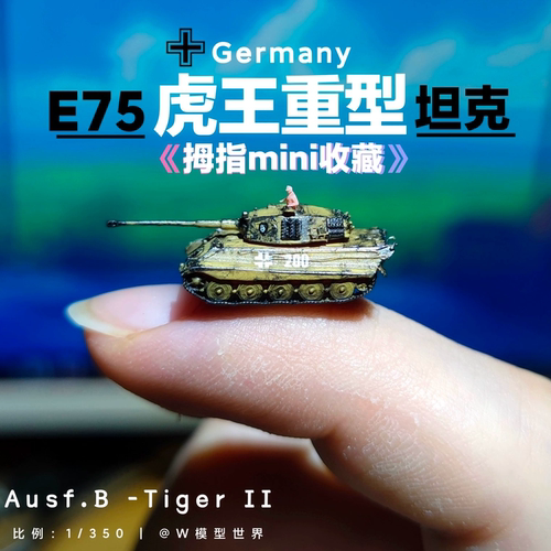 1/350虎王重型坦克微缩模型