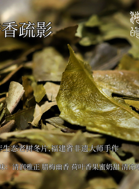 暗香疏影.省非遗2016福鼎老树冬片梅花暗香浓稠奶甜荷叶清雅香