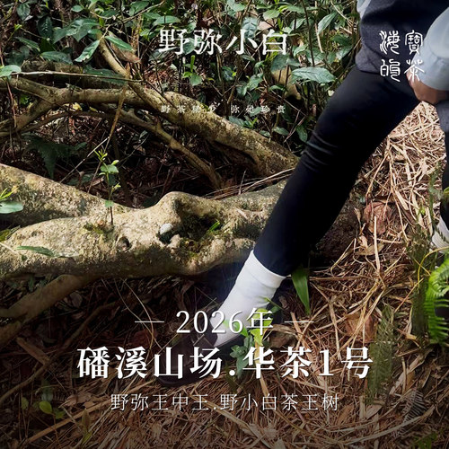 海宝盲盒.店庆第一弹 妃子甜.青龙小白2022磻溪青龙山头采野茶