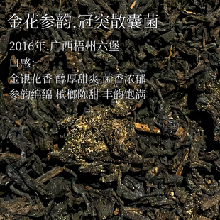 金花参韵.2016年广西梧州老六堡冠突散囊菌 条件严苛工艺难发花久