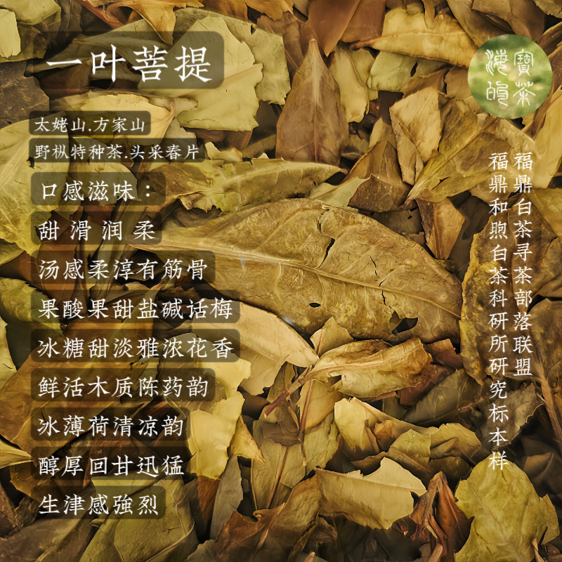 特种茶.一叶菩提2015太姥山方家山头采野枞春片寻茶部落茶科研标,茶,寿眉,淘宝优惠券,粉丝福利购,淘宝优惠卷