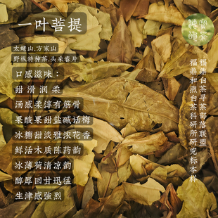 特种茶.一叶菩提2015太姥山方家山头采野枞春片寻茶部落茶科研标
