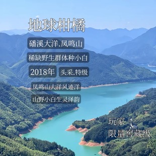 地球柑橘.精华版2018年磻溪大洋山头采特级牡丹王 野小白天花板