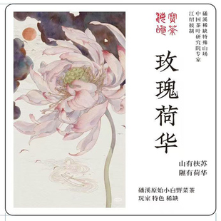 即将售罄玫瑰荷华.20年磻溪野菜茶内质比肩贡眉王玫瑰桑叶荷叶香