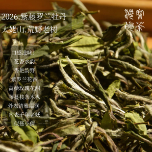 紫藤萝兰.2026年太姥山荒野老树牡丹掌柜监督制品质zui好的一年