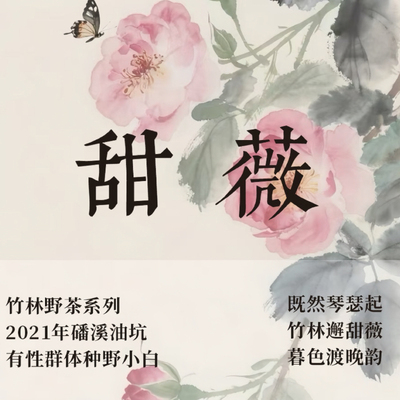 竹野甜薇.高定2021年磻溪竹林野生小白龙珠 竹甜野蔷薇甜蜜蜜仙灵