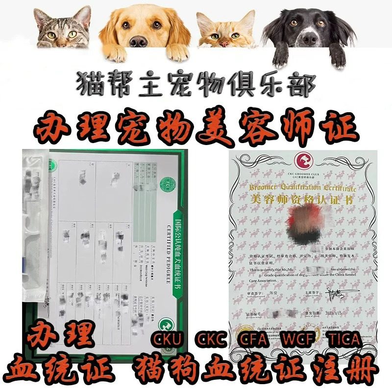 WCF CFA TICA CKU CKC 宠物 猫 狗 犬血统证书出生纸美容师证
