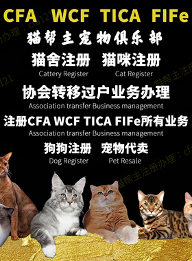 注册CFA猫证书美国CFA猫舍证书注册代办WCF TICA血统证书保真注册