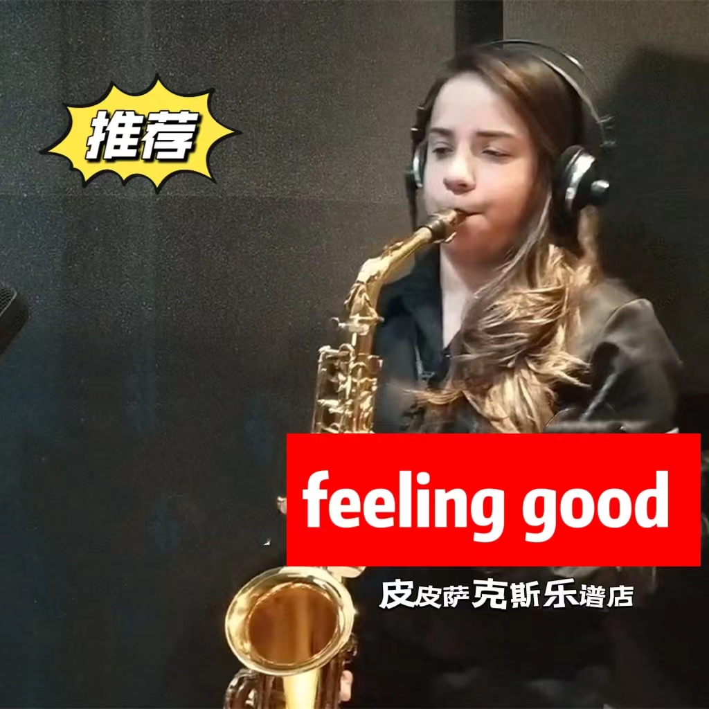 feeling good  萨克斯谱单簧管长笛小号小提琴皮皮萨克斯
