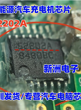 52202A 适用蔚来汉拿新能源空调泵压缩机 充电机芯片 全新 密脚