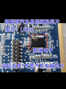 适用北汽快充BMS控制模块电源开关负载驱动IC芯片 全新 L9301