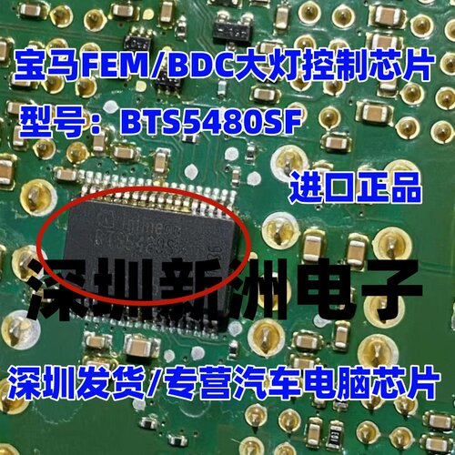 BTS5480SF 适用宝马FEM/BDC大灯芯片福克斯大灯近光 车灯芯片全新