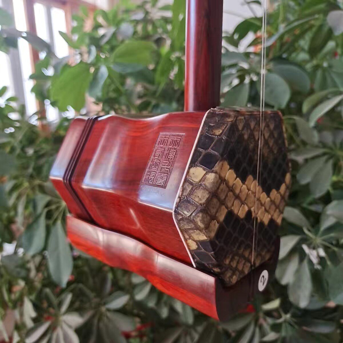 小叶紫檀二胡 专业演奏级非洲紫檀二胡 二胡乐器 手工蒙皮脊背皮