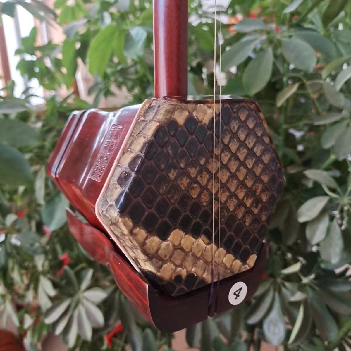 小叶紫檀二胡 专业演奏级非洲紫檀二胡 二胡乐器 手工蒙皮脊背皮