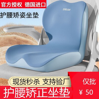 德国进口护腰坐垫工位办公室女士久坐不累神器座姿矫正器防驼背靠