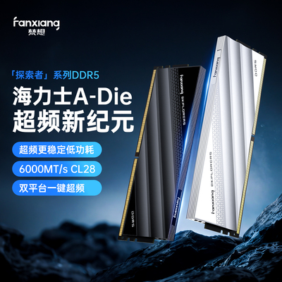 梵想DDR56000海力士内存条