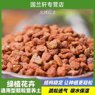 火烧红土兰花蝴蝶兰君子兰多肉花卉营养土含矿丰富矿物质