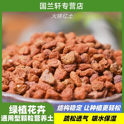 火烧红土兰花蝴蝶兰君子兰多肉花卉营养土含矿丰富矿物质