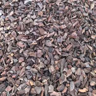 发酵腐熟松麟树皮