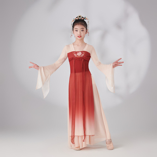 儿童古典舞演出服飘逸身韵成人汉唐齐胸飘带纱衣舞蹈服中国舞套装