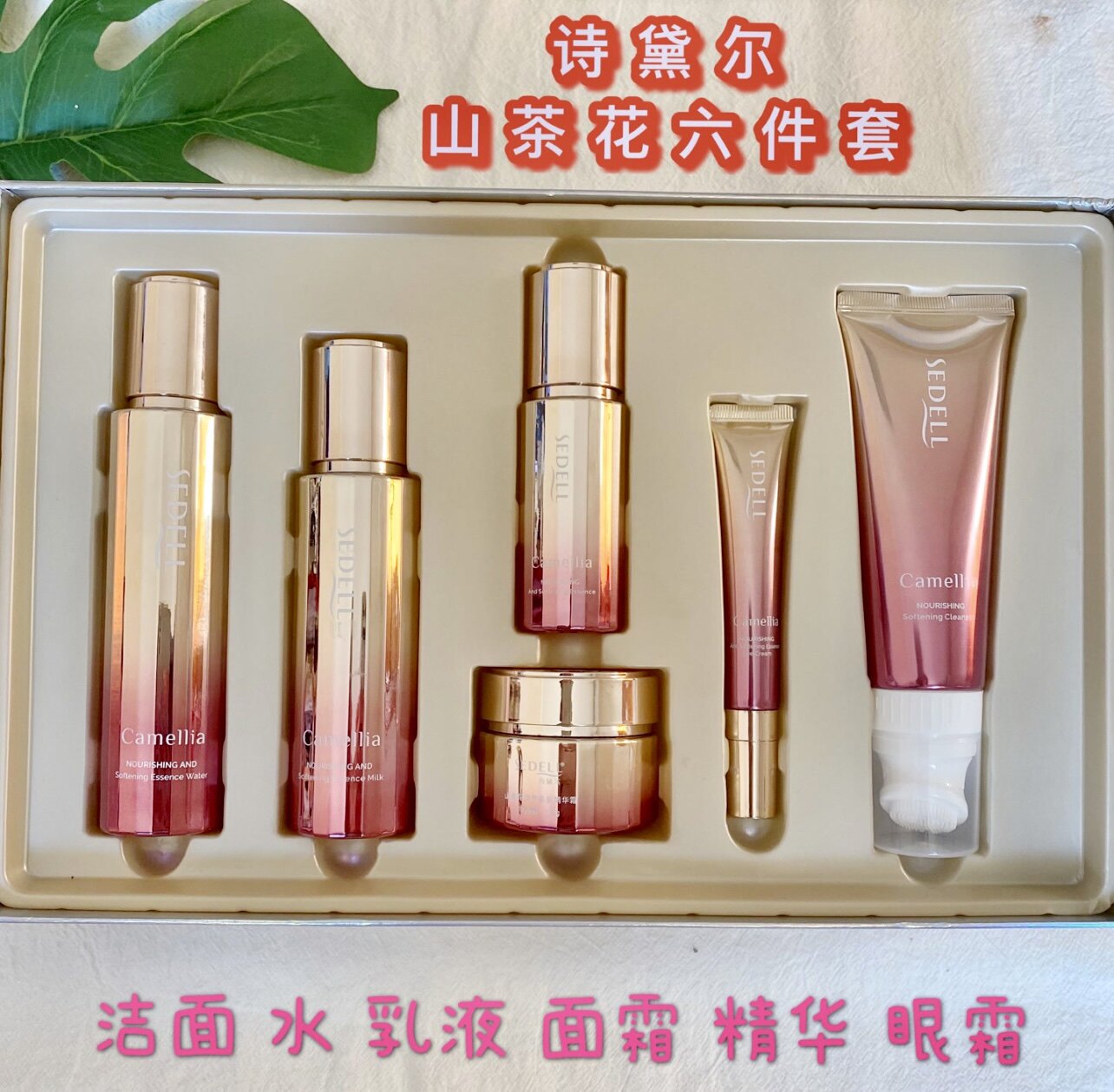 诗黛尔山茶花润养柔肤洁面水乳霜精华眼霜六件套盒装保湿紧致提拉