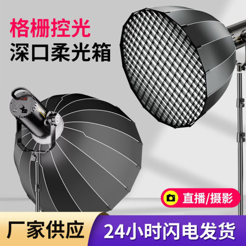 300W补光灯室内影棚拍照led摄影灯球形深抛柔光箱金属摄影灯