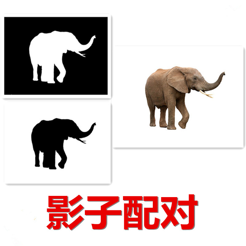 早期教育儿童包邮5寸2岁卡片