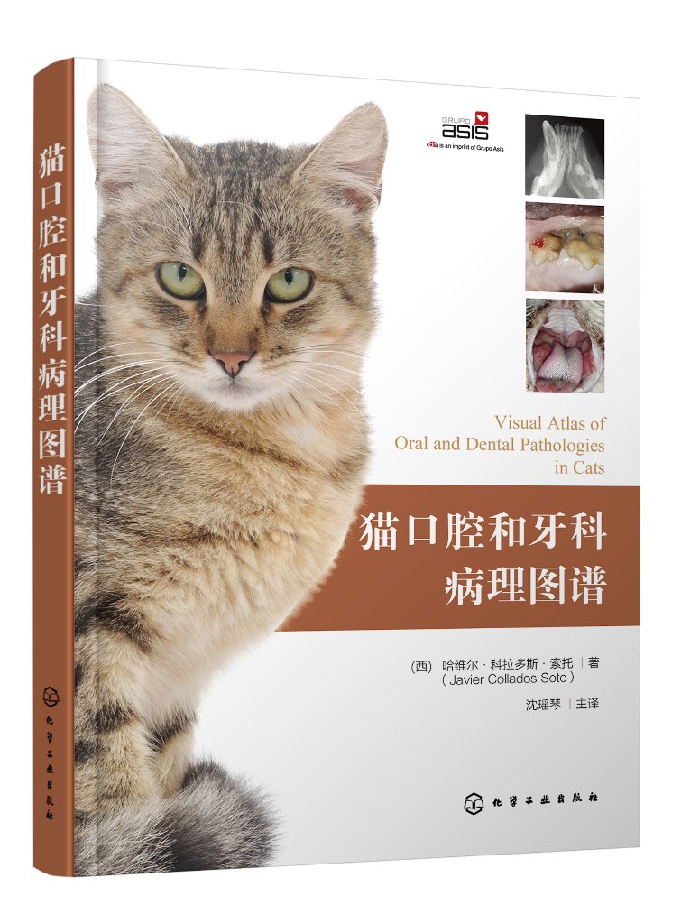 正版现货 猫口腔和牙科病理图谱 1化学工业出版社(西)哈维尔·科拉多