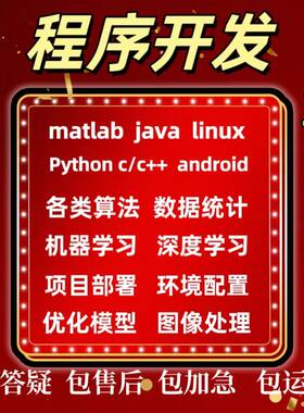 计算机Java代码编写python代编程c++设计c#开发c语言接单vb