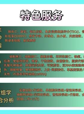 TCGA数据库免疫基因预后(免疫治疗/生存分析/WGCNA共表达网络)