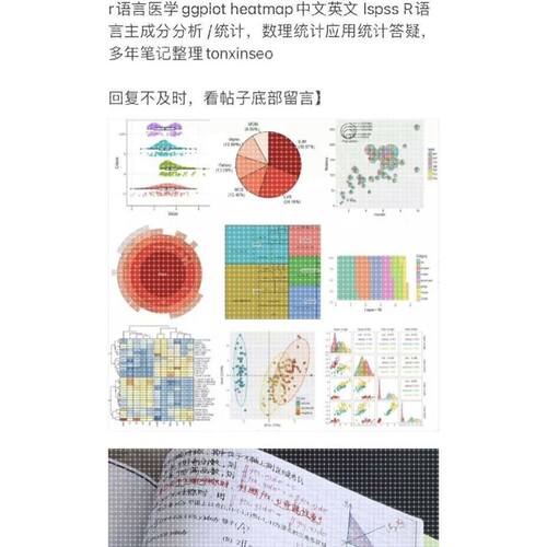 个人】r语言医学统计生物数据生存SPSS生信分析图形绘制临床画图