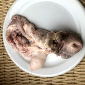 羊欢喜 黑山羊阴户 山羊子宫带阴道大肠头整套羊外阴 医学标本