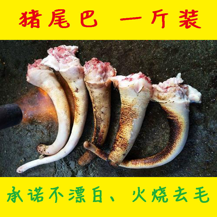 【不漂白无防腐】新鲜猪尾巴生猪尾巴 火烧去毛 新鲜猪尾省内包邮