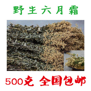 野山草六月霜茶 六月雪奇蒿刘寄奴、南刘寄奴千粒米、六月霜500g